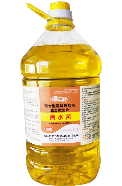 爽水菌