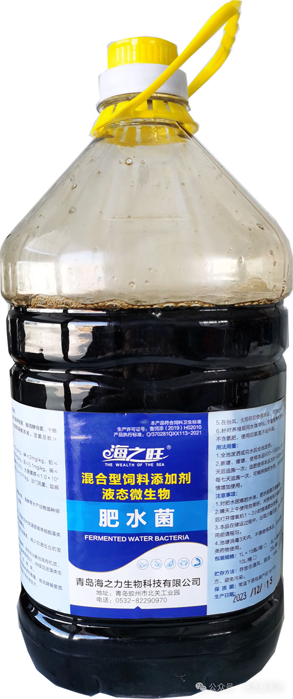 肥水菌
