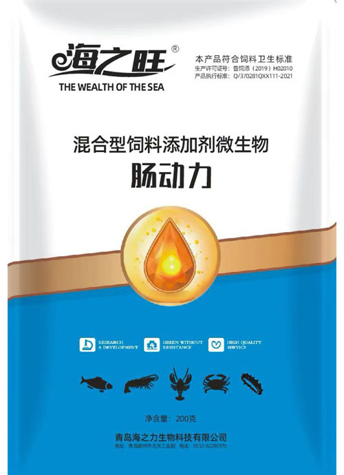 肠动力
